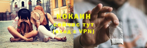 трава Гусев