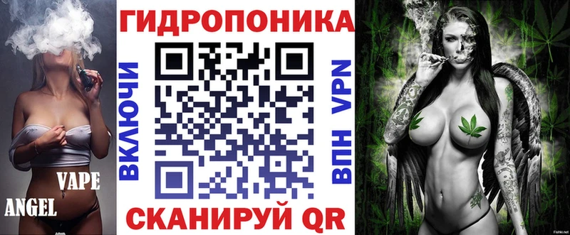 Марихуана OG Kush  Купить где  Кедровый 